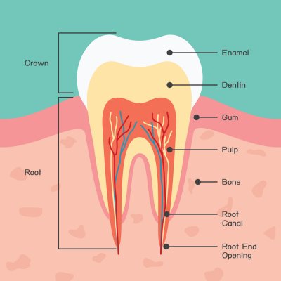 Are Your Teeth Sensitive to Heat? Causes What to Do About It