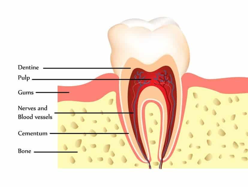 How to stop tooth sensitivity after whitening