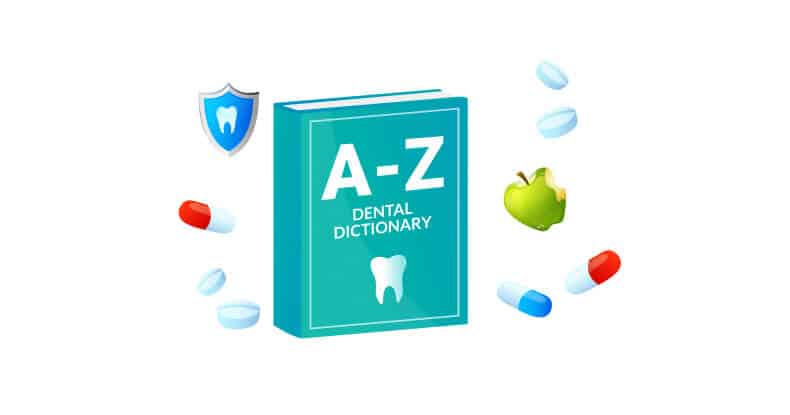 dental terminology dictionary