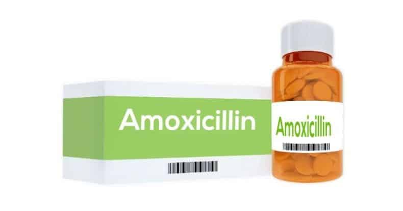 how-long-does-it-take-amoxicillin-to-stop-tooth-pain-dentaly